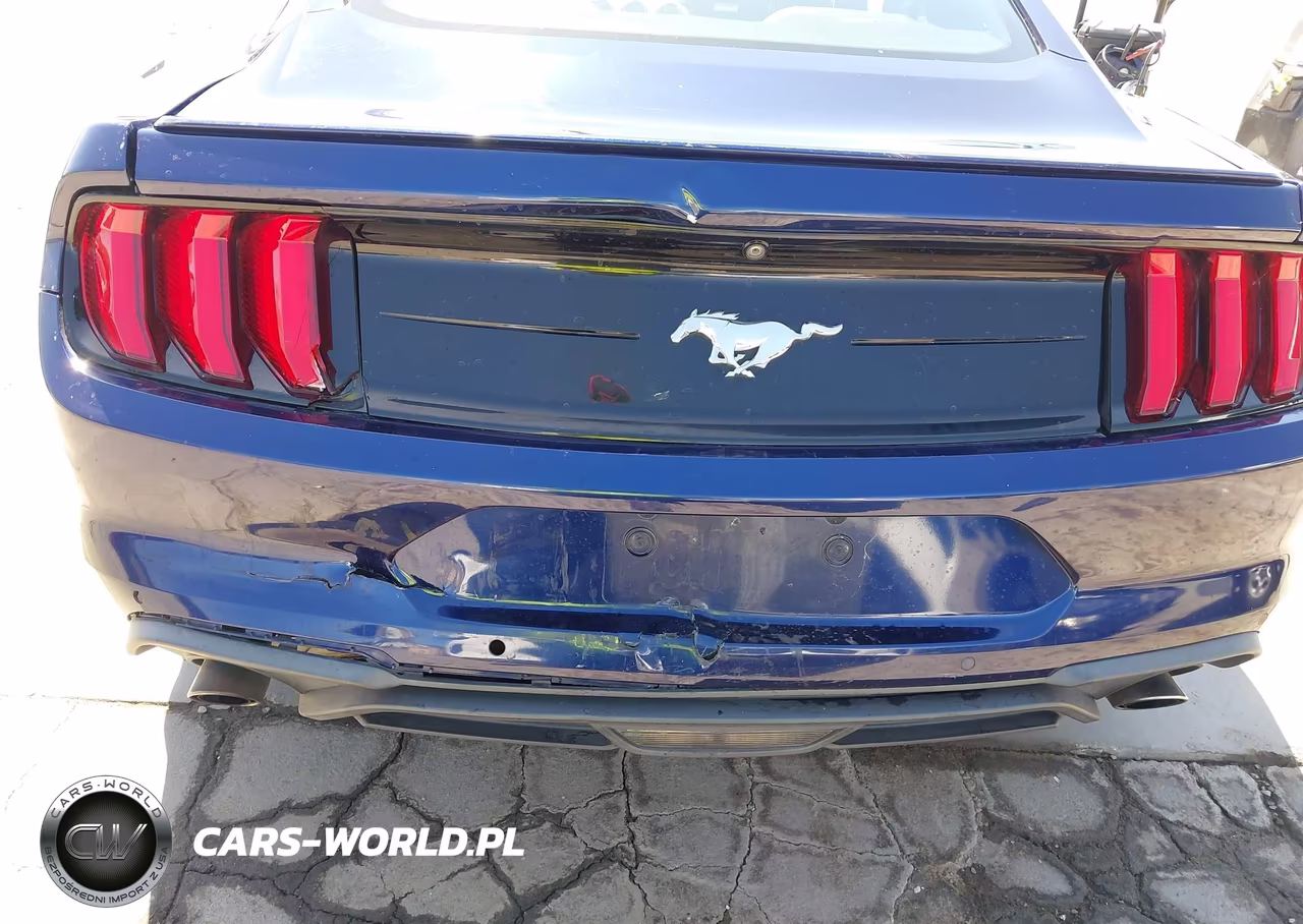 2019 Ford Mustang Ecoboost Premium VIN:1FA6P8TH3K5159581 - 6