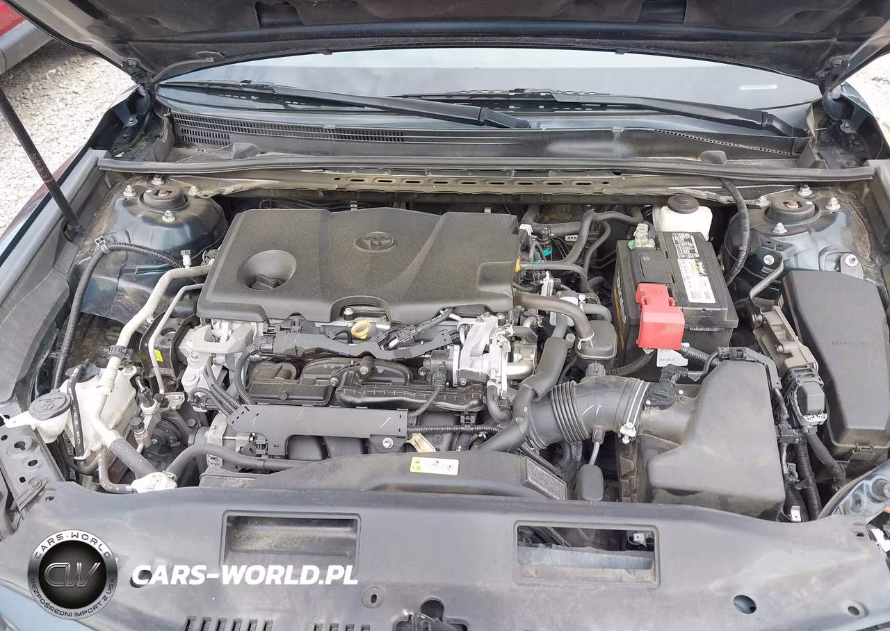 2020 Toyota Camry Le VIN:4T1C11AK3LU886730 - 10