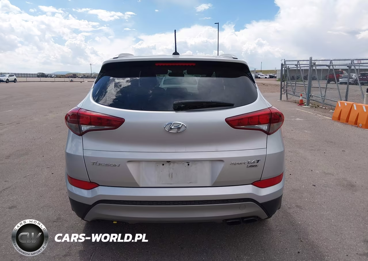 2017 Hyundai Tucson Sport VIN:KM8J3CA20HU397318 - 16