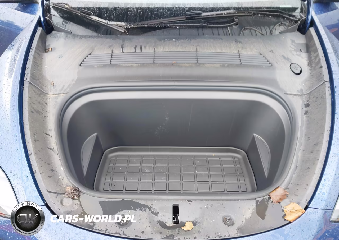 2024 Tesla Model Y Performance Dual Motor All-Wheel Drive VIN:7SAYGDEF3RA268218 - 10