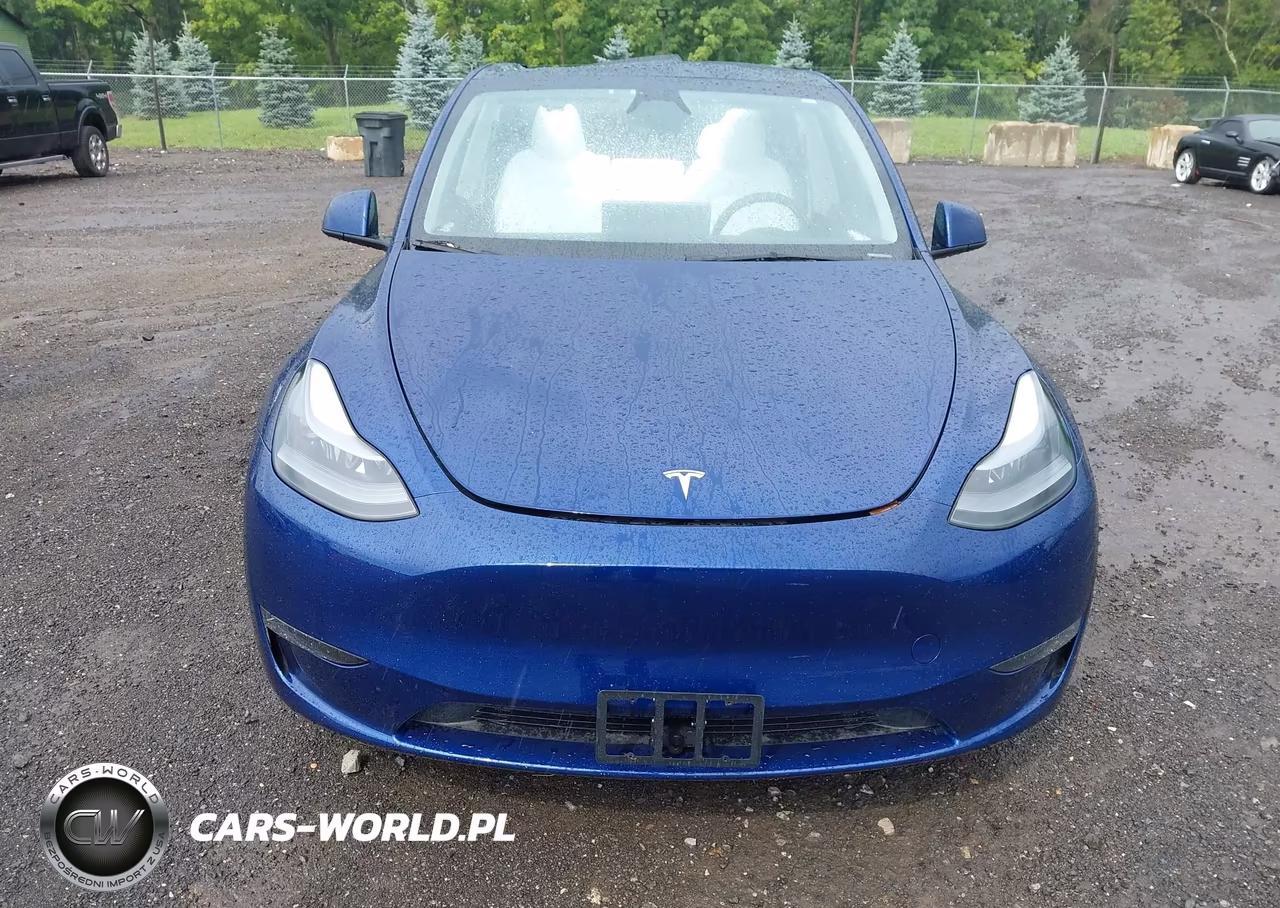 2024 Tesla Model Y Performance Dual Motor All-Wheel Drive VIN:7SAYGDEF3RA268218 - 12