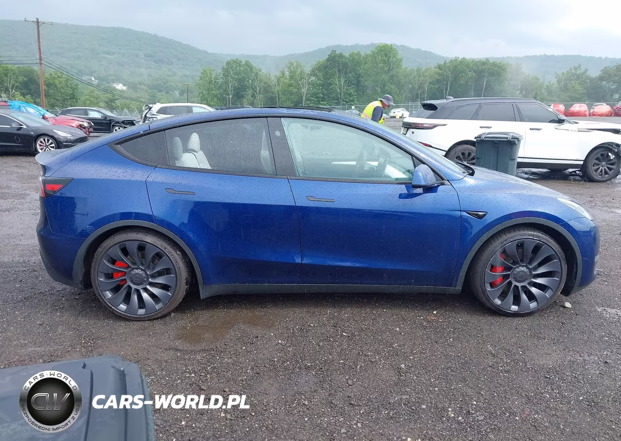 2024 Tesla Model Y Performance Dual Motor All-Wheel Drive VIN:7SAYGDEF3RA268218 - 13