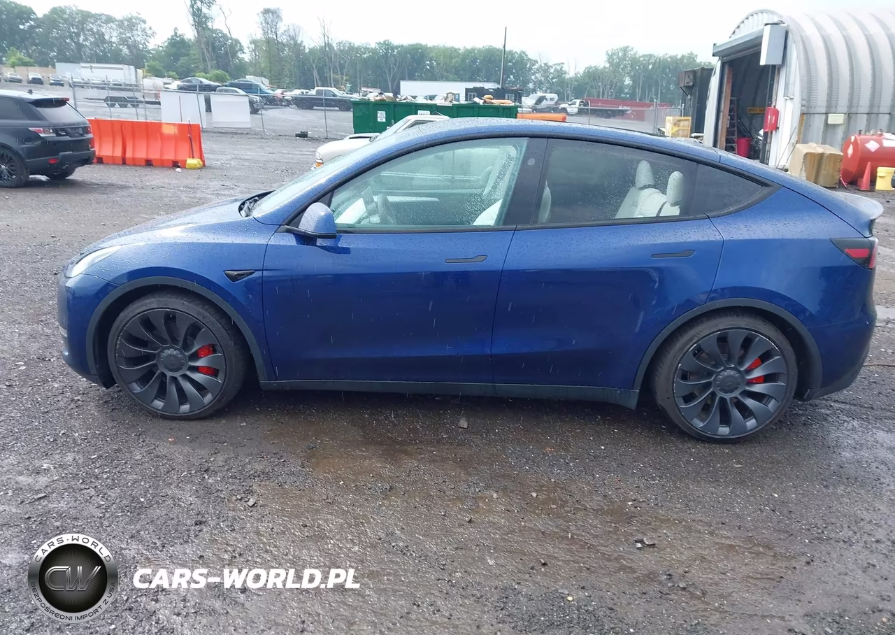 2024 Tesla Model Y Performance Dual Motor All-Wheel Drive VIN:7SAYGDEF3RA268218 - 14