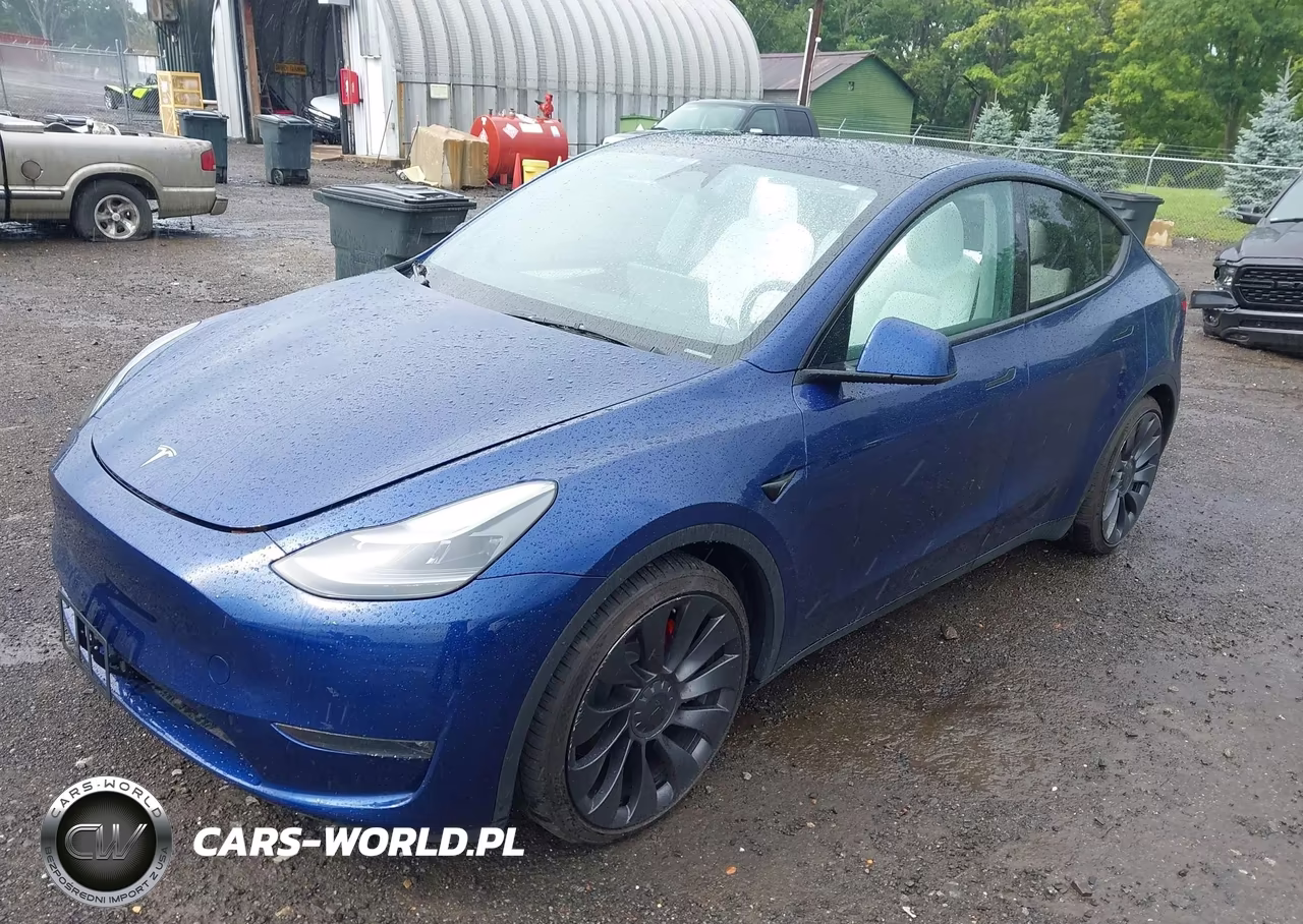 2024 Tesla Model Y Performance Dual Motor All-Wheel Drive VIN:7SAYGDEF3RA268218 - 2