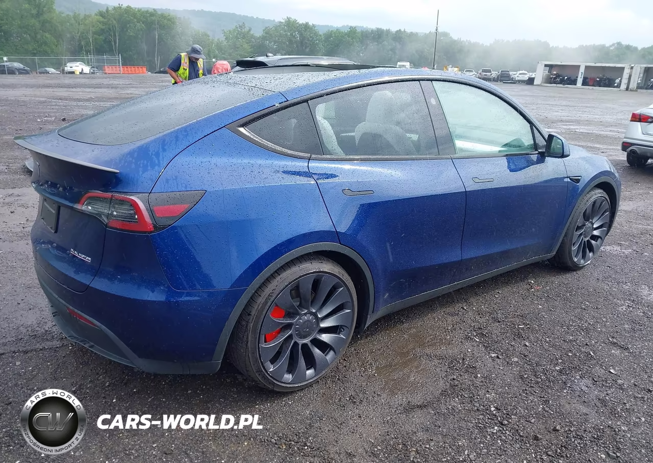 2024 Tesla Model Y Performance Dual Motor All-Wheel Drive VIN:7SAYGDEF3RA268218 - 4