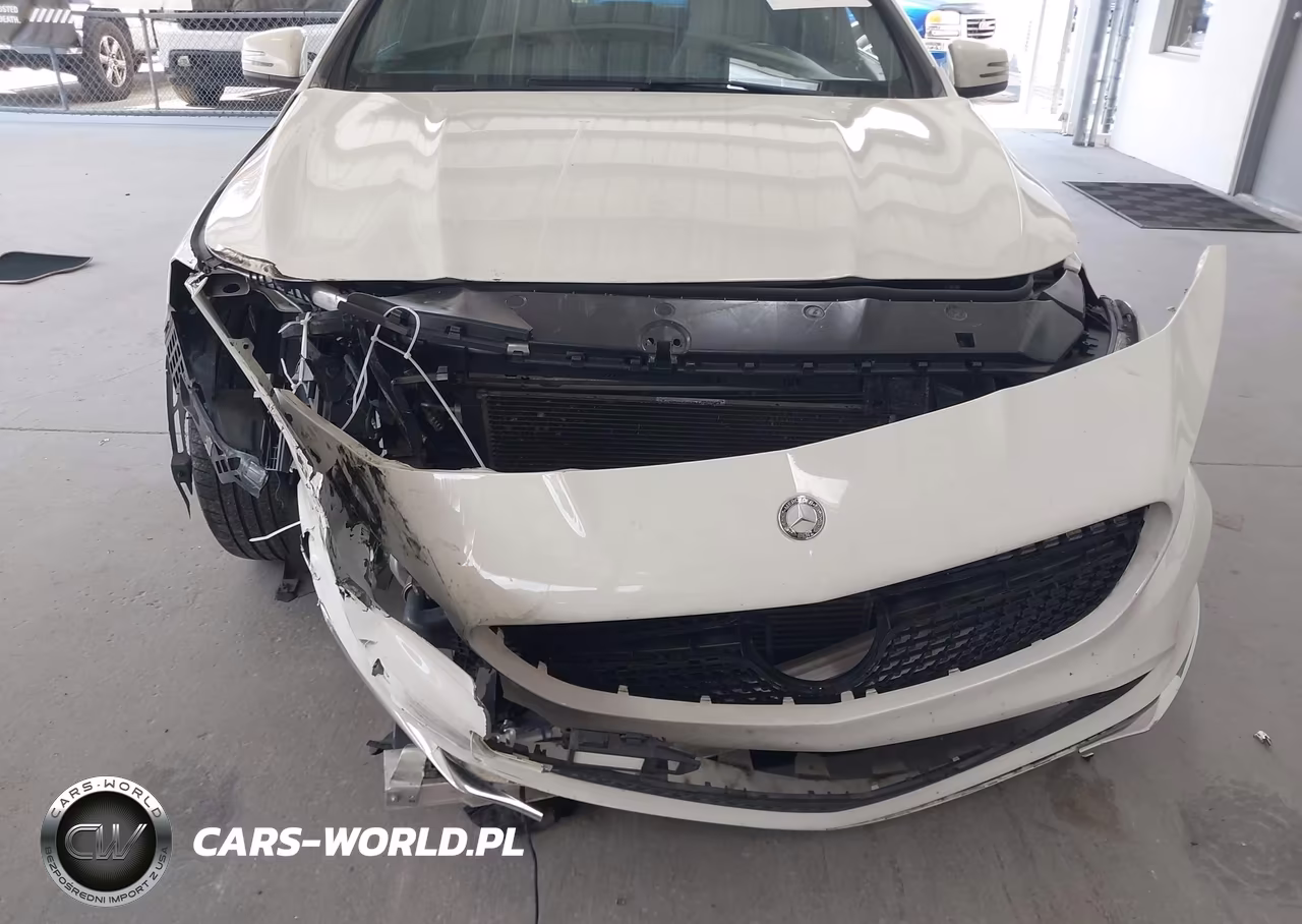 2017 Mercedes-Benz Cla 250 VIN:WDDSJ4EB5HN481004 - 12