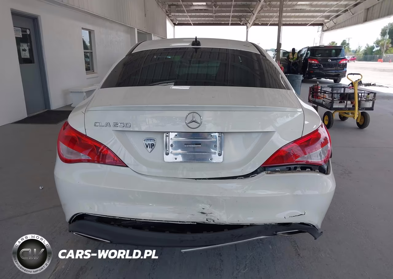 2017 Mercedes-Benz Cla 250 VIN:WDDSJ4EB5HN481004 - 16