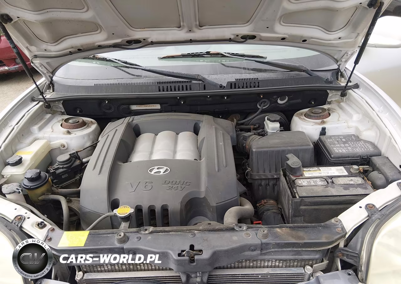 2004 Hyundai Santa Fe Gls VIN:KM8SC13D04U692016 - 10