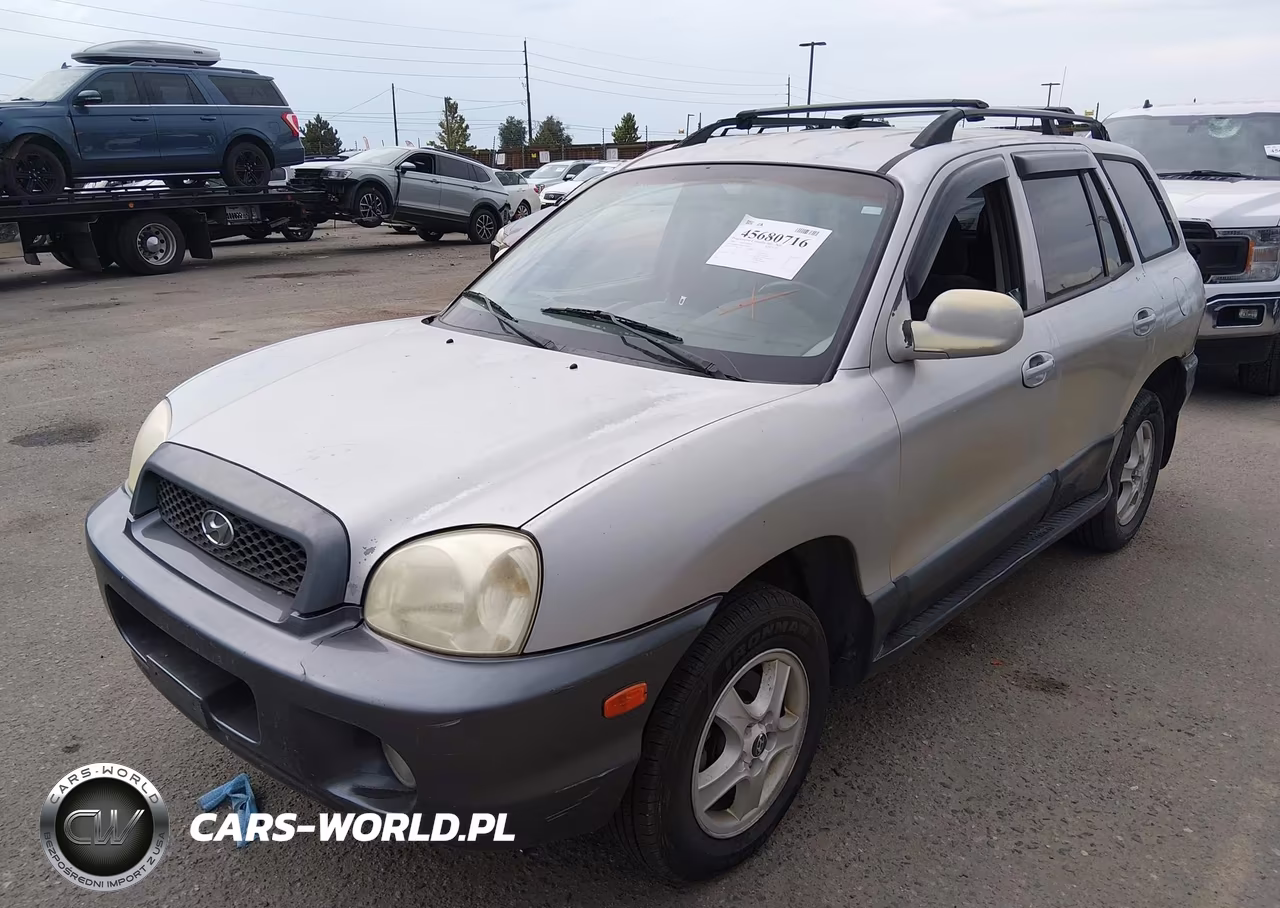 2004 Hyundai Santa Fe Gls VIN:KM8SC13D04U692016 - 2