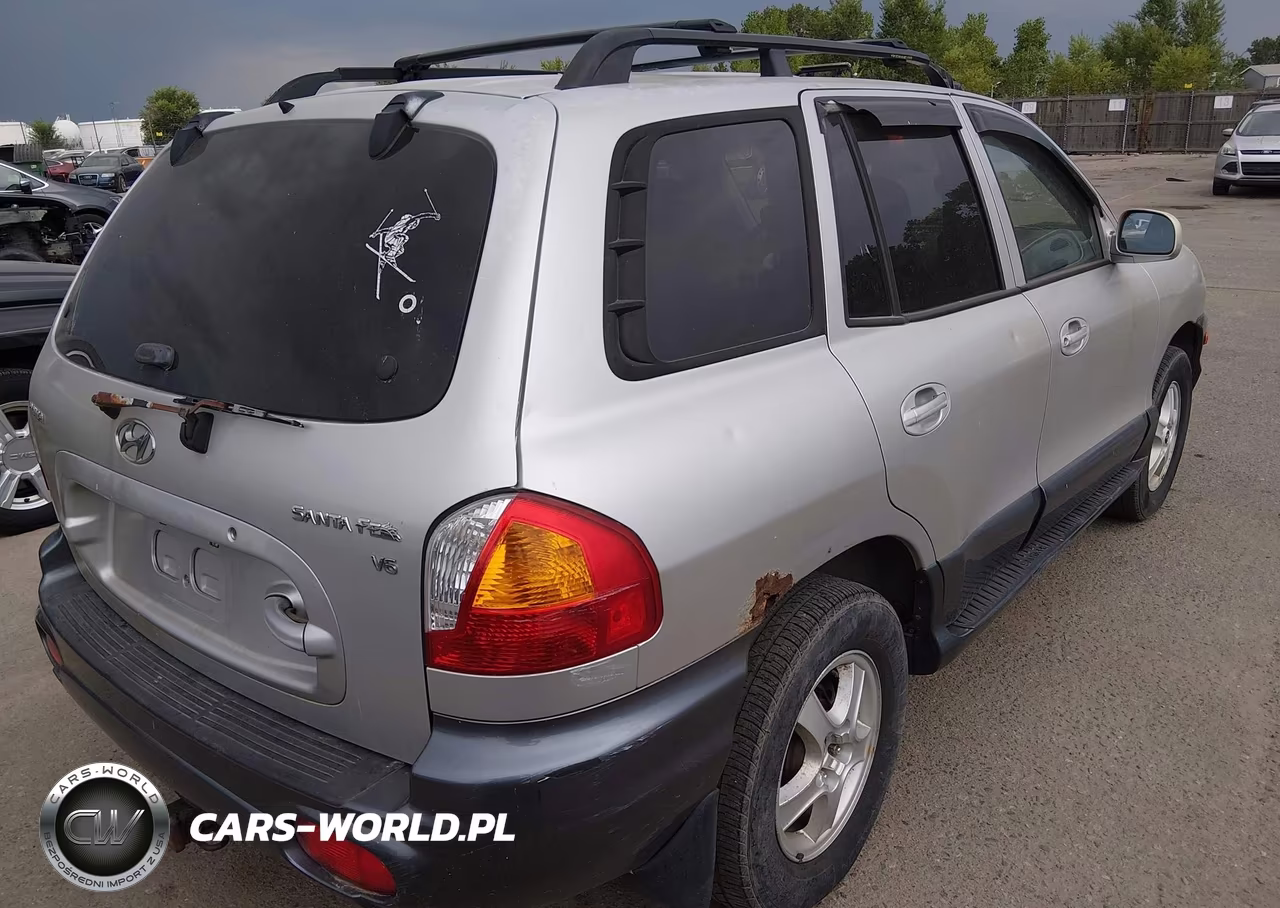 2004 Hyundai Santa Fe Gls VIN:KM8SC13D04U692016 - 4