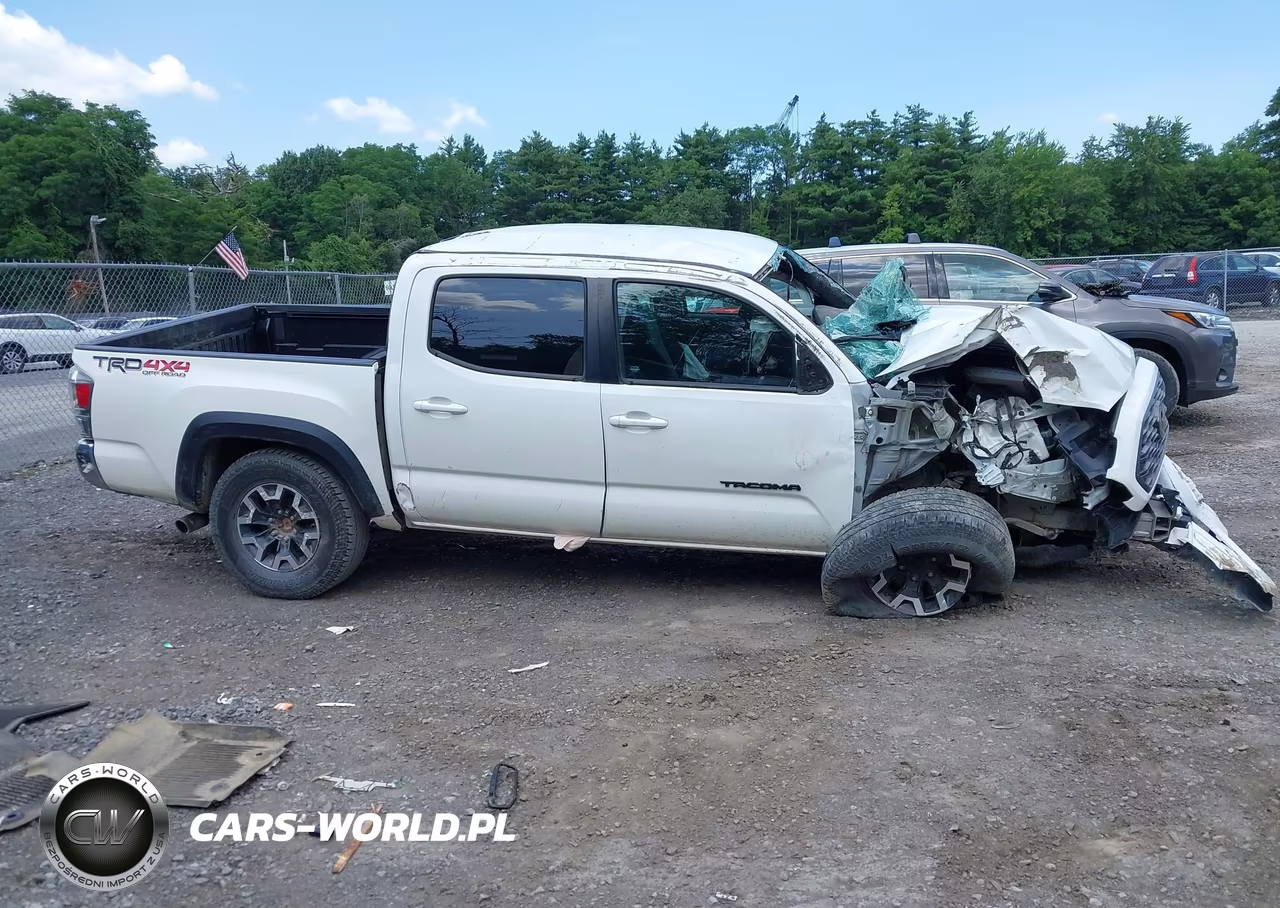 2023 Toyota Tacoma Trd Off Road VIN:3TMCZ5ANXPM552543 - 13