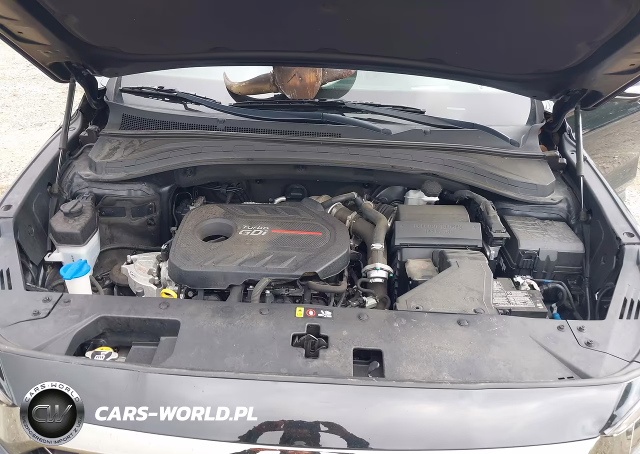 2020 Hyundai Santa Fe Limited 2.0T VIN:5NMS5CAA5LH227997 - 10