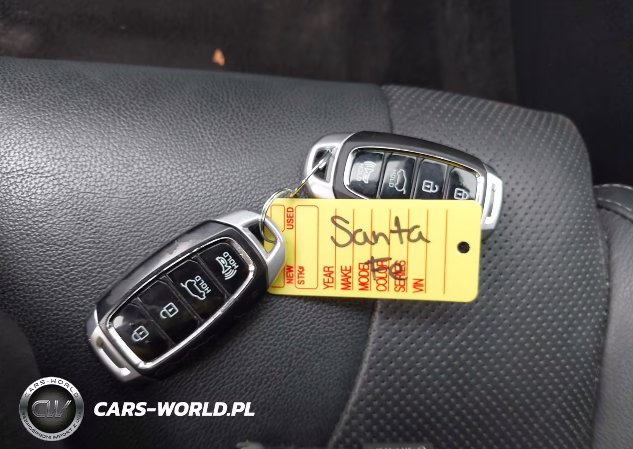 2020 Hyundai Santa Fe Limited 2.0T VIN:5NMS5CAA5LH227997 - 11