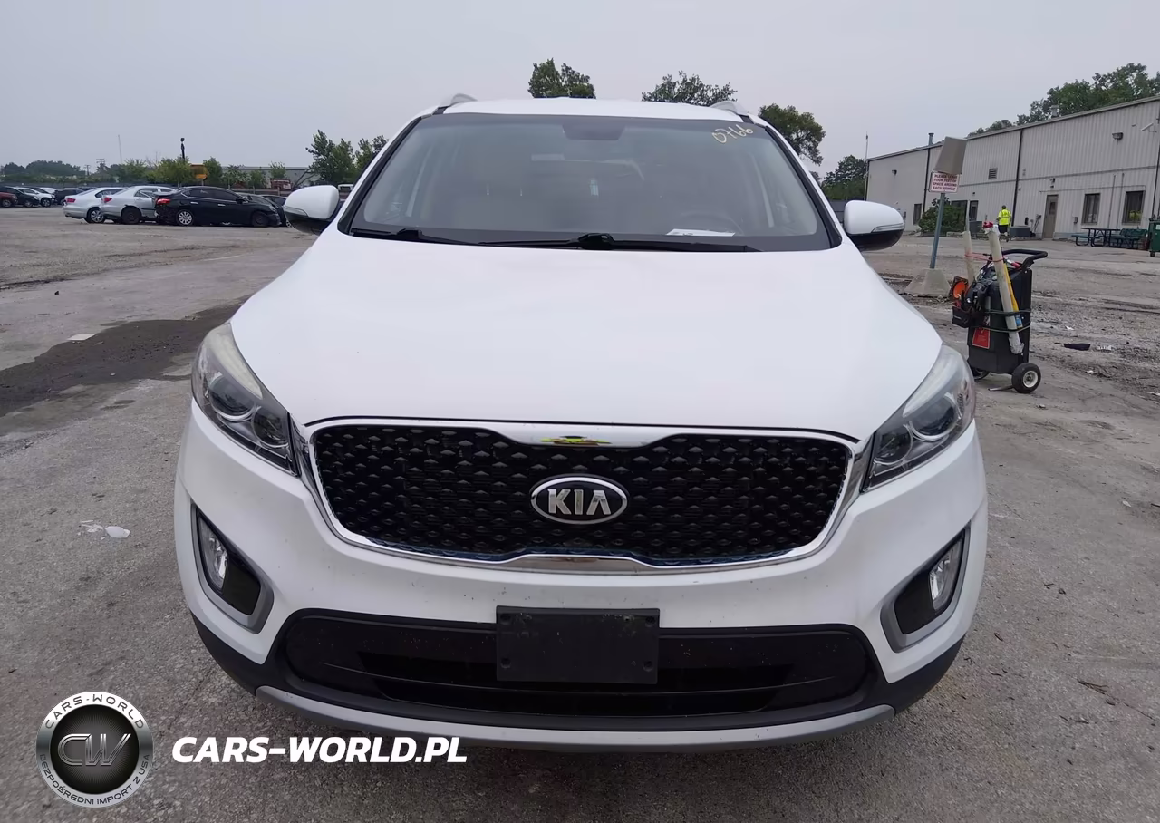 2017 Kia Sorento 3.3L Ex VIN:5XYPHDA5XHG277107 - 12