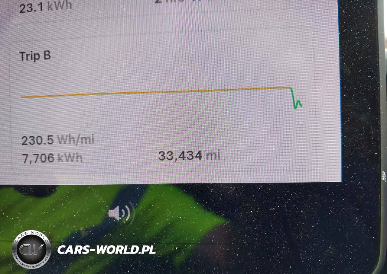 2020 Tesla Model 3 Performance Dual Motor All-Wheel Drive VIN:5YJ3E1EC7LF586774 - 7