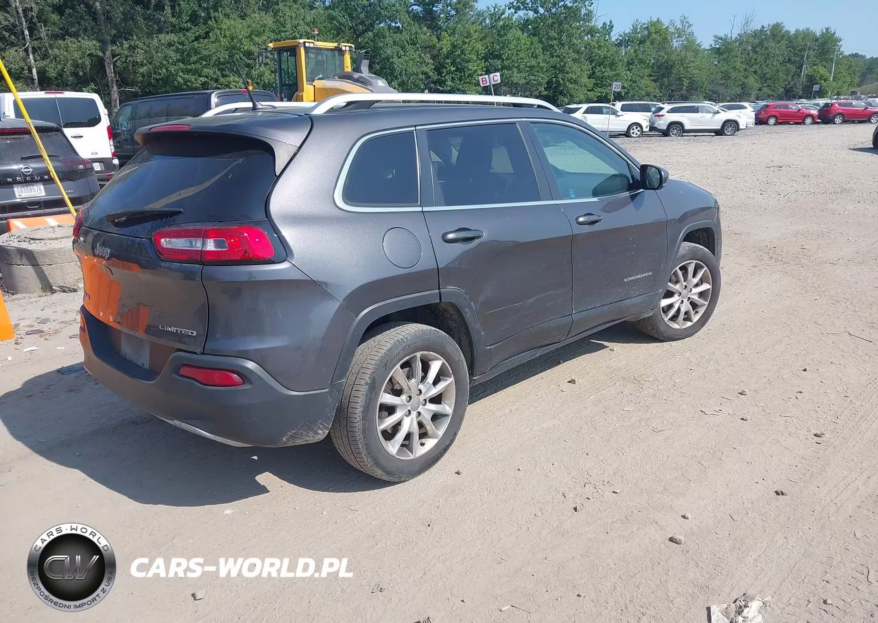 2014 Jeep Cherokee Limited VIN:1C4PJMDB8EW159139 - 4