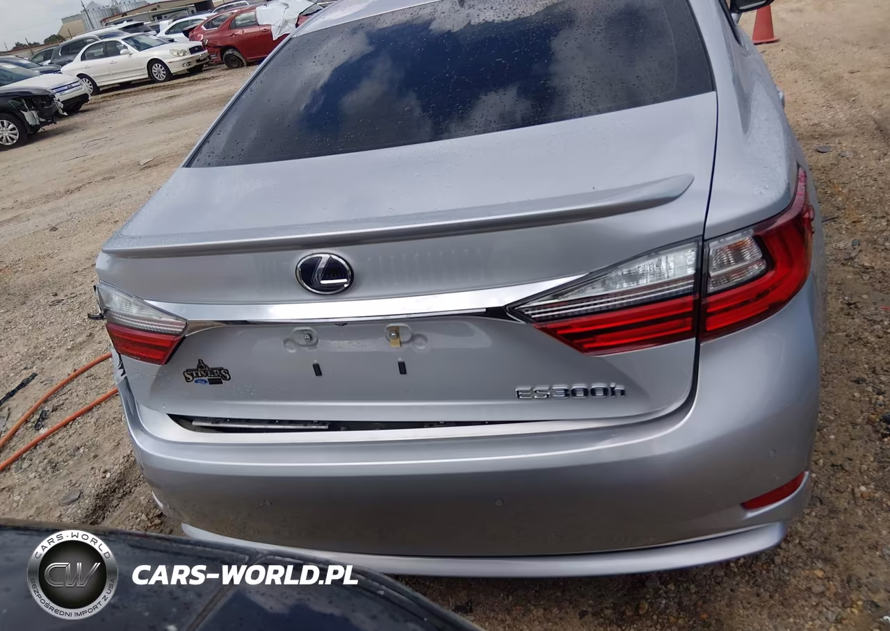 2018 Lexus Es 300H VIN:JTHBW1GG7J2181909 - 16