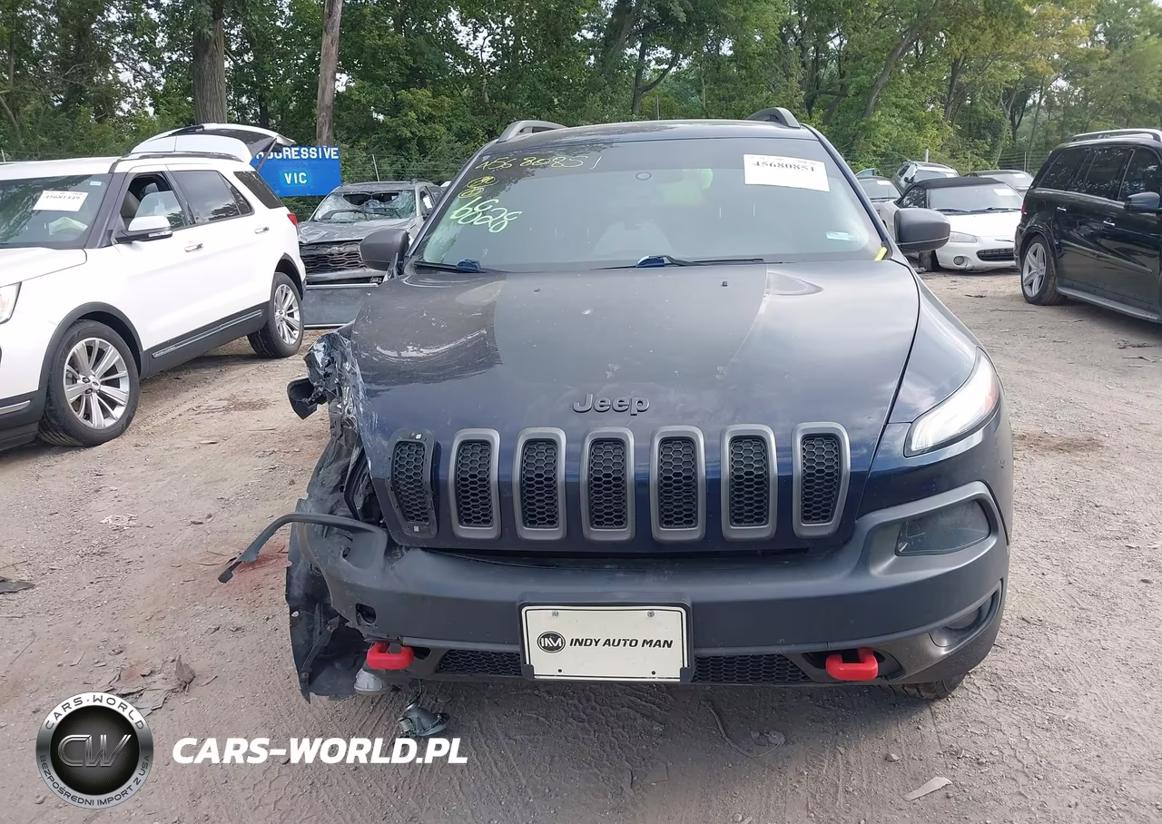 2016 Jeep Cherokee Trailhawk VIN:1C4PJMBSXGW208959 - 11