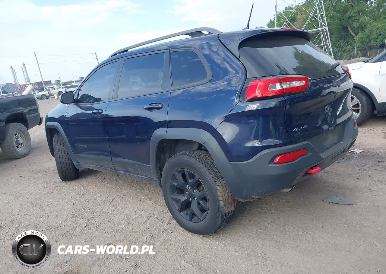 2016 Jeep Cherokee Trailhawk VIN:1C4PJMBSXGW208959 - 3