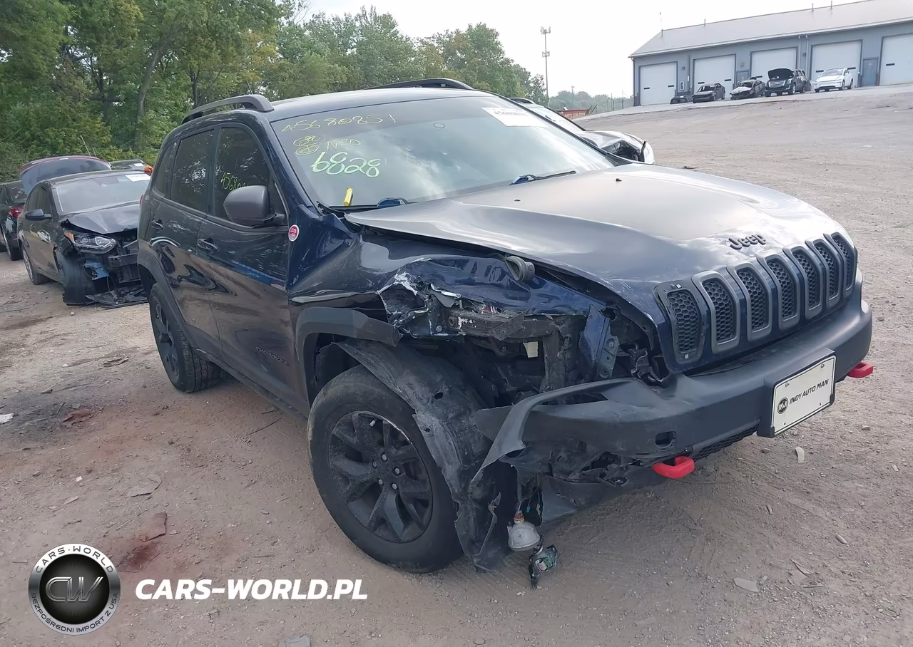2016 Jeep Cherokee Trailhawk VIN:1C4PJMBSXGW208959 - 6