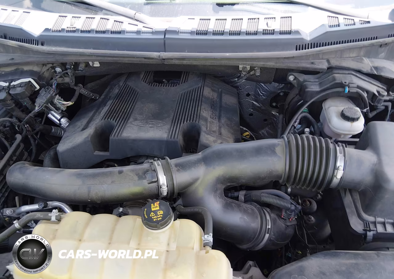 2019 Ford F-150 Xl VIN:1FTFW1E41KFD42907 - 10