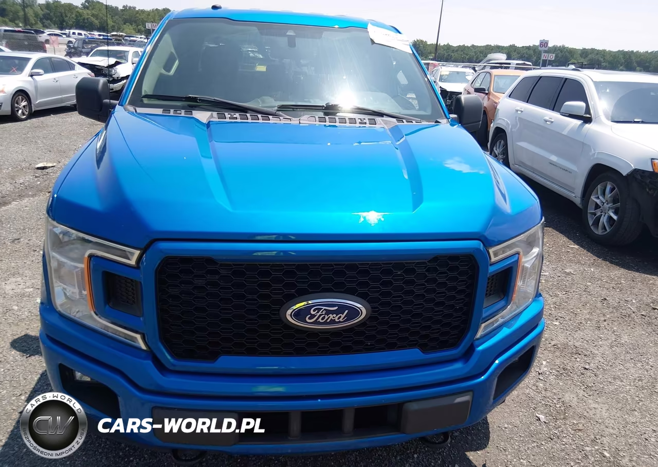 2019 Ford F-150 Xl VIN:1FTFW1E41KFD42907 - 12