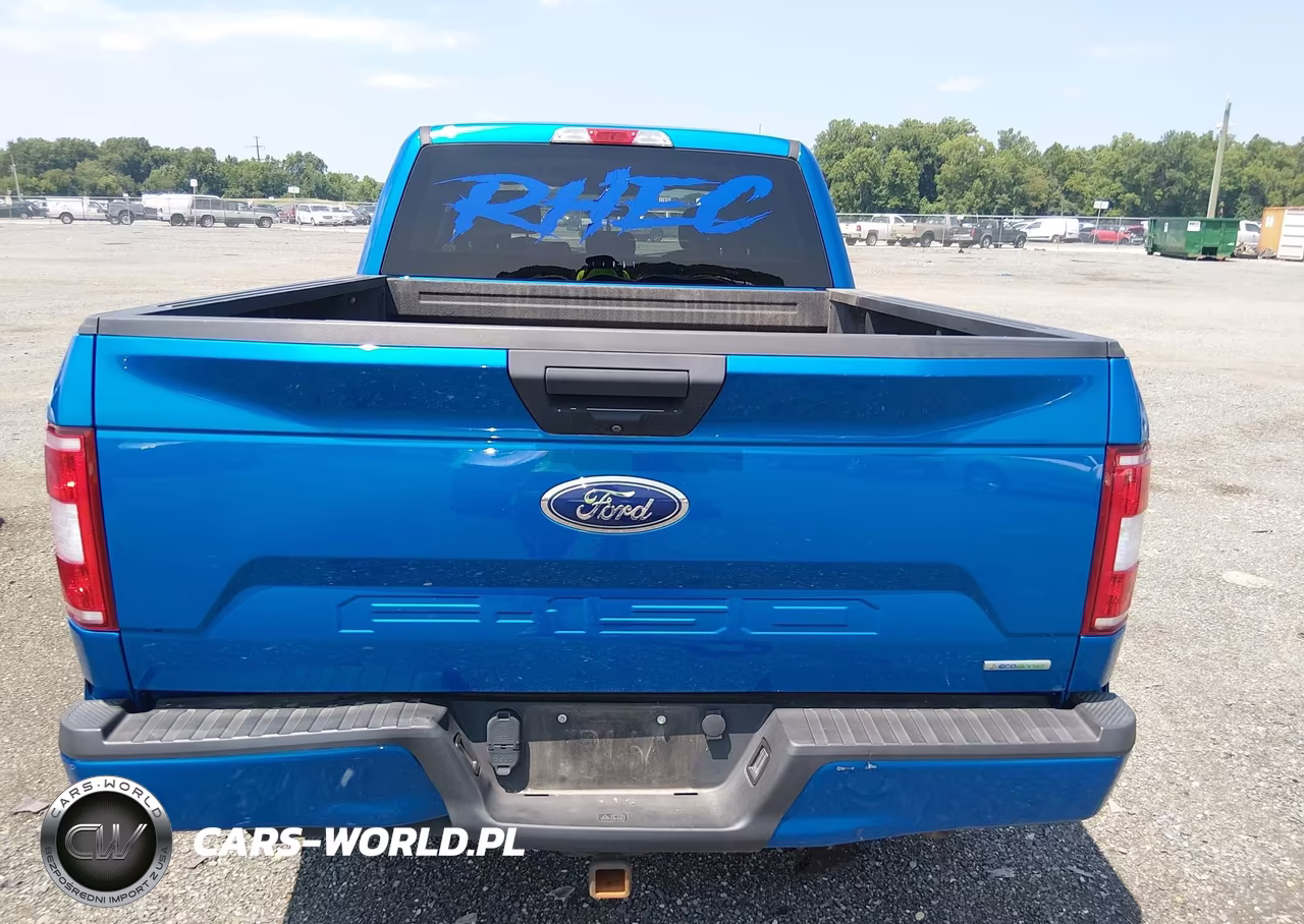 2019 Ford F-150 Xl VIN:1FTFW1E41KFD42907 - 16