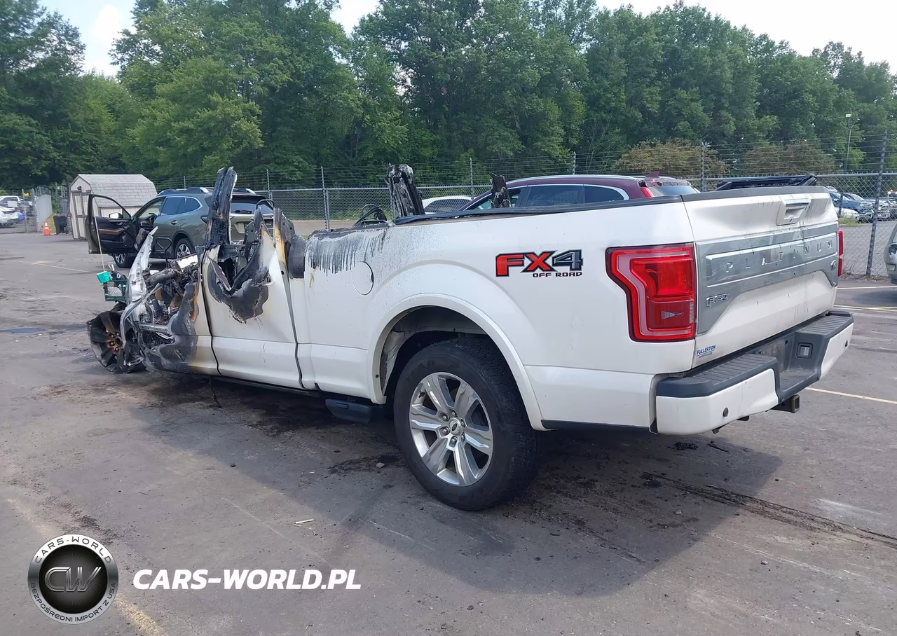 2015 Ford F-150 Platinum VIN:1FTFW1EG0FFC66760 - 3