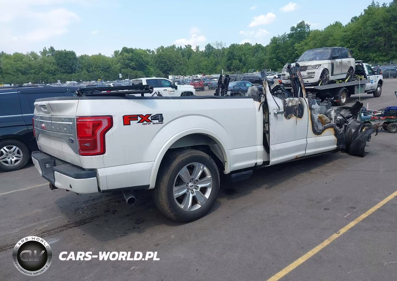 2015 Ford F-150 Platinum VIN:1FTFW1EG0FFC66760 - 4