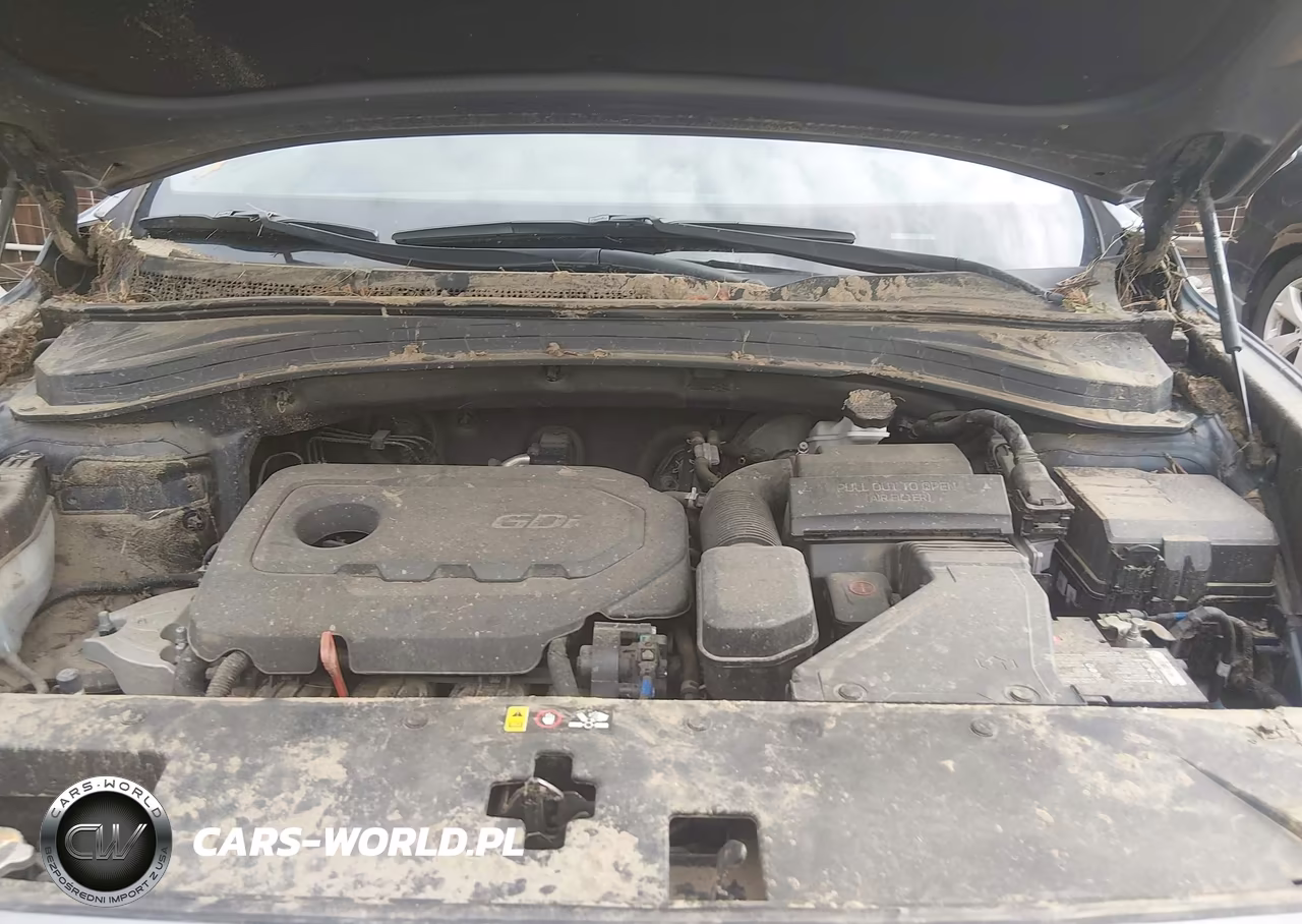 2020 Hyundai Santa Fe Se VIN:5NMS2CAD8LH177213 - 10