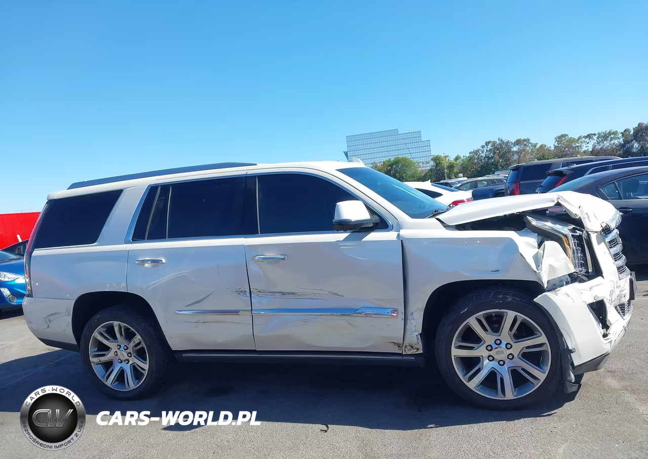 2015 Cadillac Escalade Premium VIN:1GYS4NKJ1FR568627 - 13