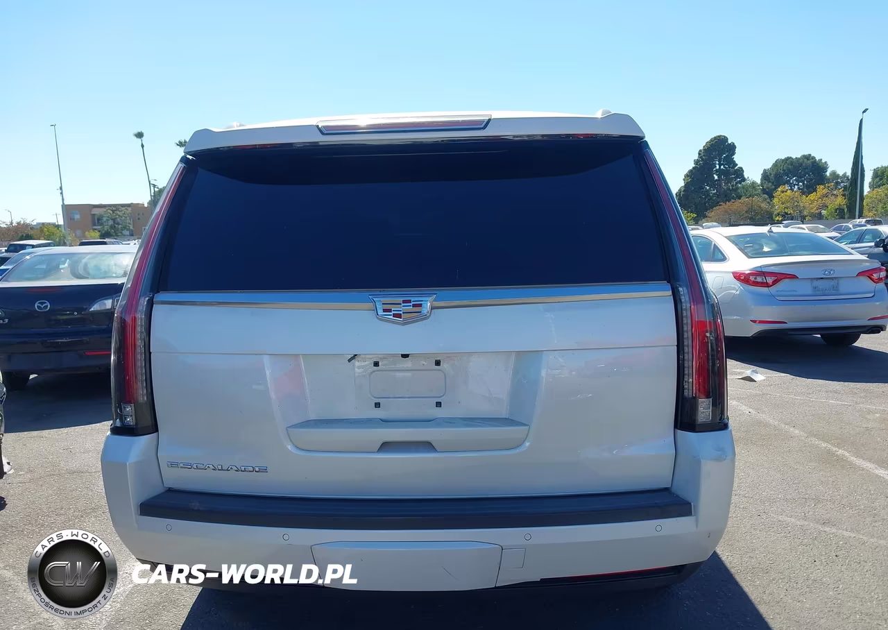 2015 Cadillac Escalade Premium VIN:1GYS4NKJ1FR568627 - 16