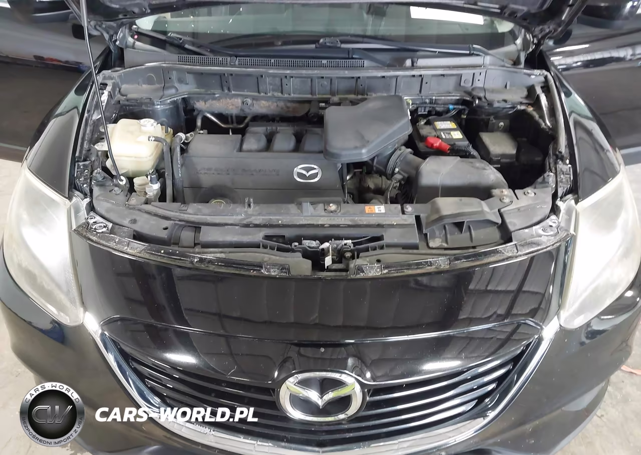 2013 Mazda Cx-9 Touring VIN:JM3TB3CA4D0403358 - 10