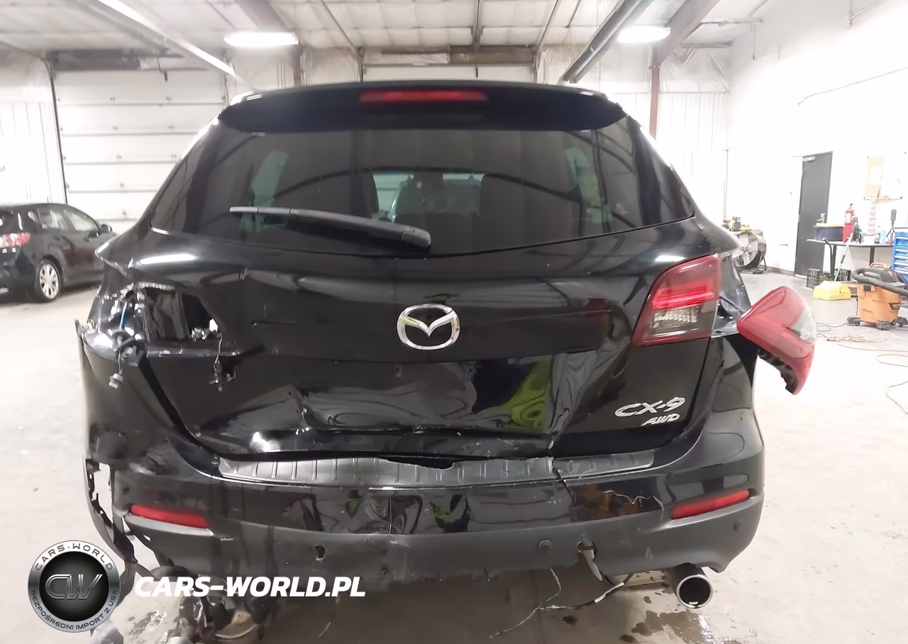 2013 Mazda Cx-9 Touring VIN:JM3TB3CA4D0403358 - 17
