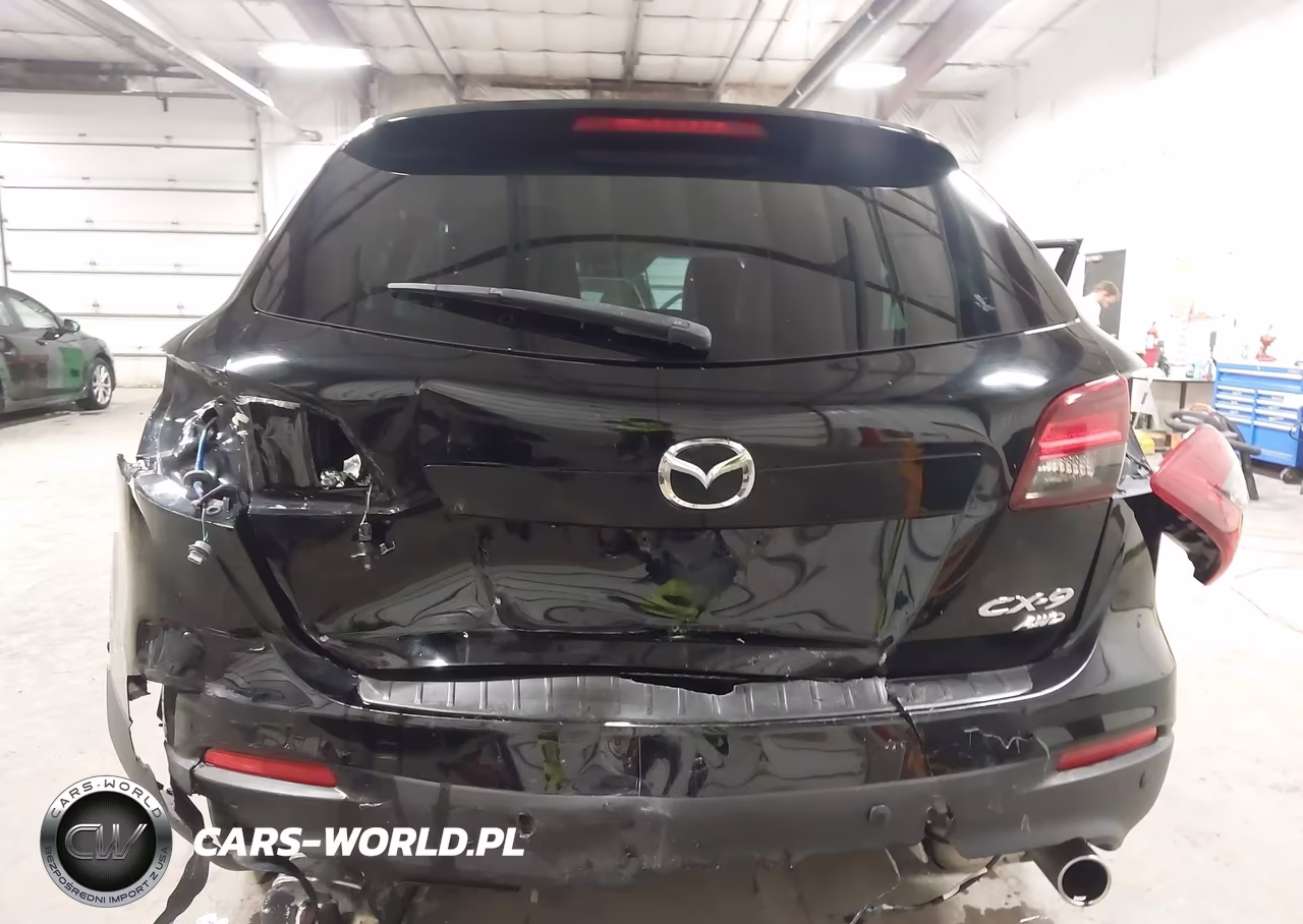 2013 Mazda Cx-9 Touring VIN:JM3TB3CA4D0403358 - 6