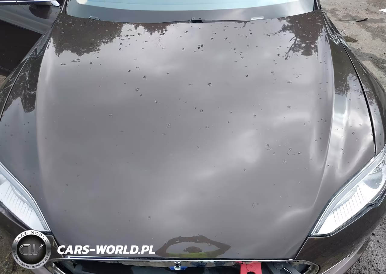 2013 Tesla Model S Performance VIN:5YJSA1CP8DFP09903 - 10