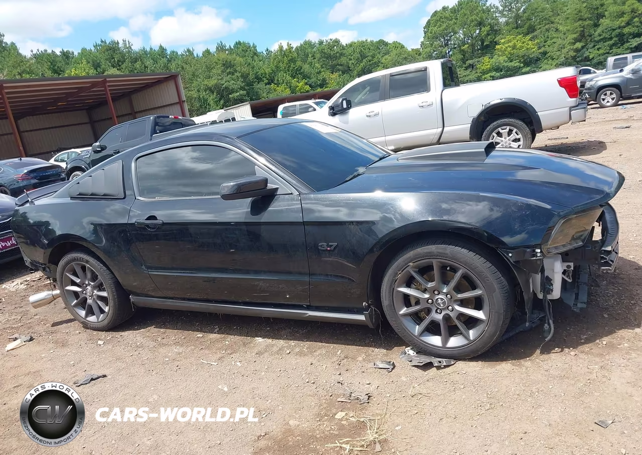 2011 Ford Mustang V6 Premium VIN:1ZVBP8AM2B5117019 - 14