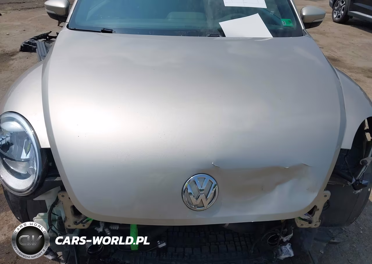 2013 Volkswagen Beetle 2.0L Tdi VIN:3VWJL7AT3DM675788 - 10