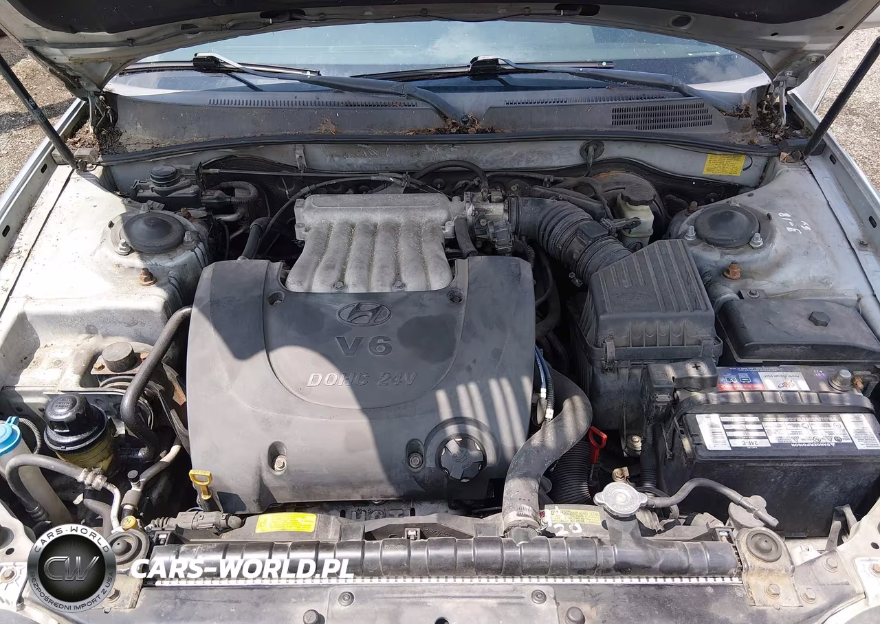 2004 Hyundai Sonata Gls-Lx VIN:KMHWF35H24A956570 - 10