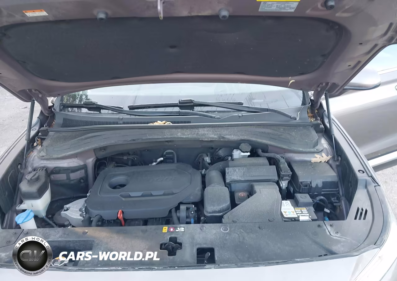 2019 Hyundai Santa Fe Se VIN:5NMS2CAD2KH005189 - 10