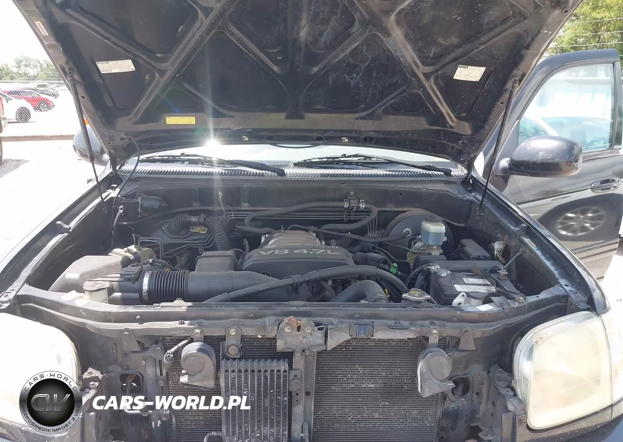 2004 Toyota Tundra Limited V8 VIN:5TBET38174S438506 - 10