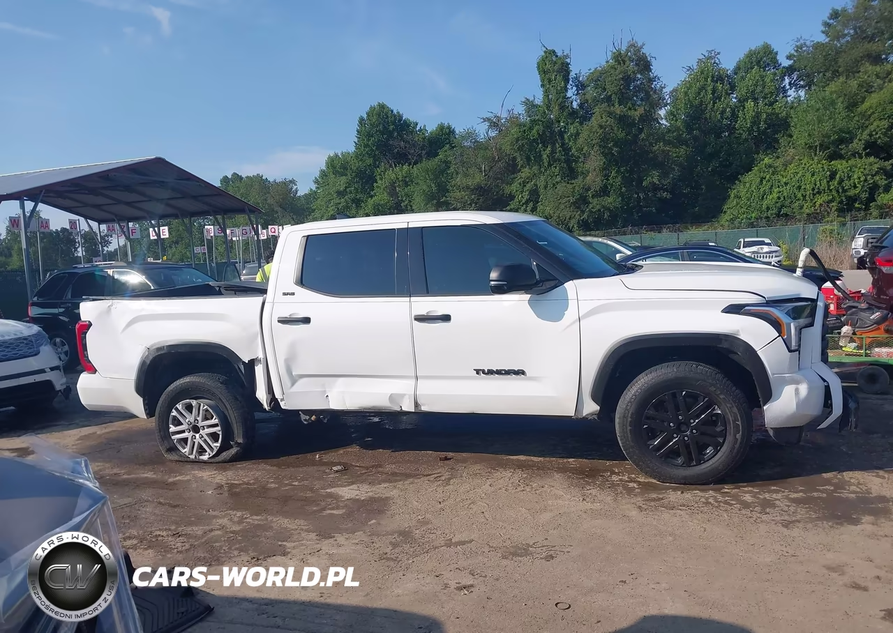 2022 Toyota Tundra Sr5 VIN:5TFLA5DB8NX026489 - 13