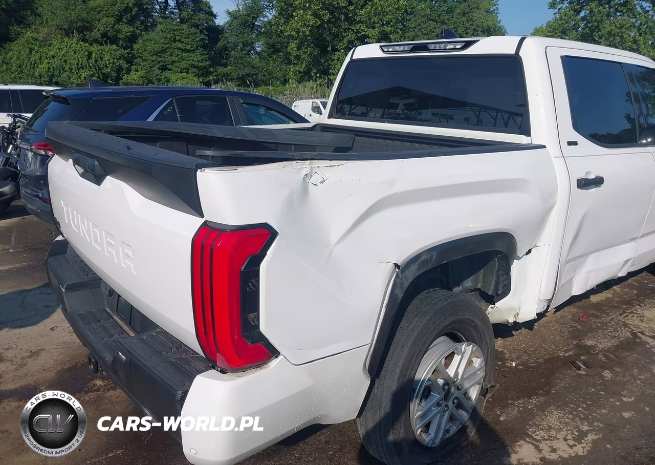 2022 Toyota Tundra Sr5 VIN:5TFLA5DB8NX026489 - 19