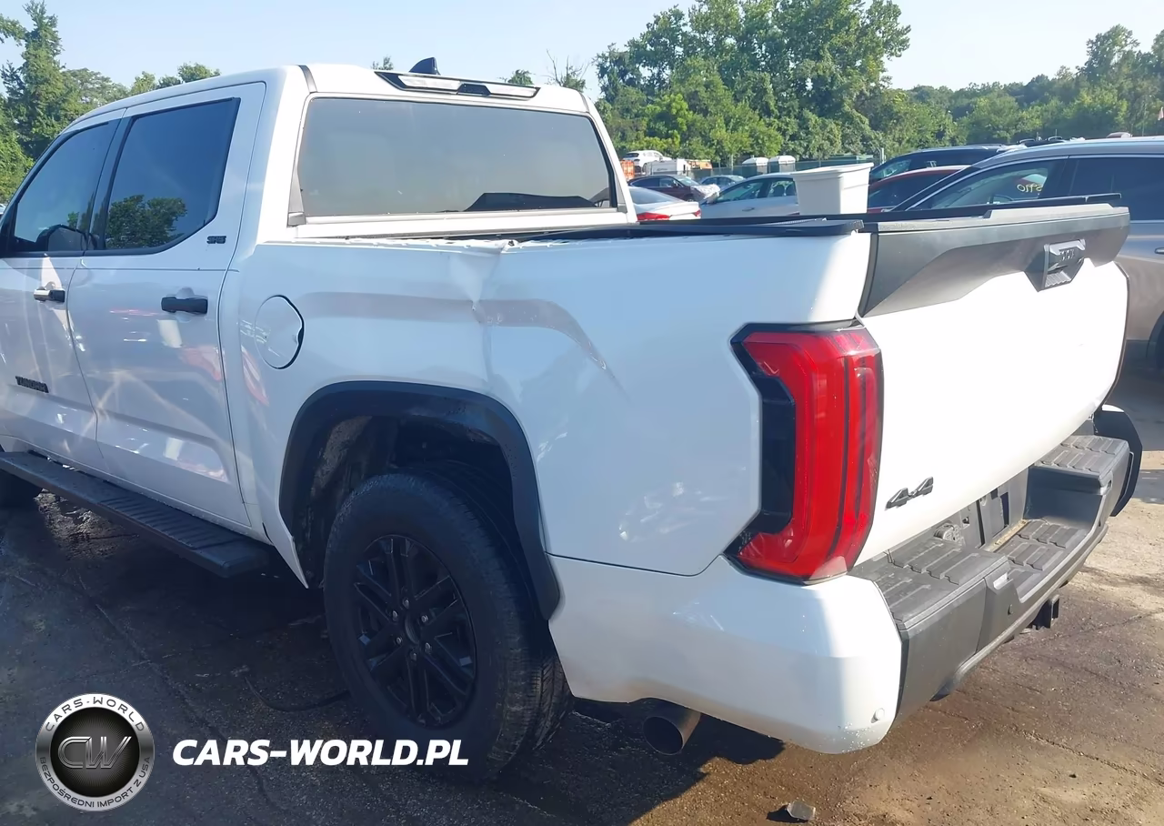 2022 Toyota Tundra Sr5 VIN:5TFLA5DB8NX026489 - 20