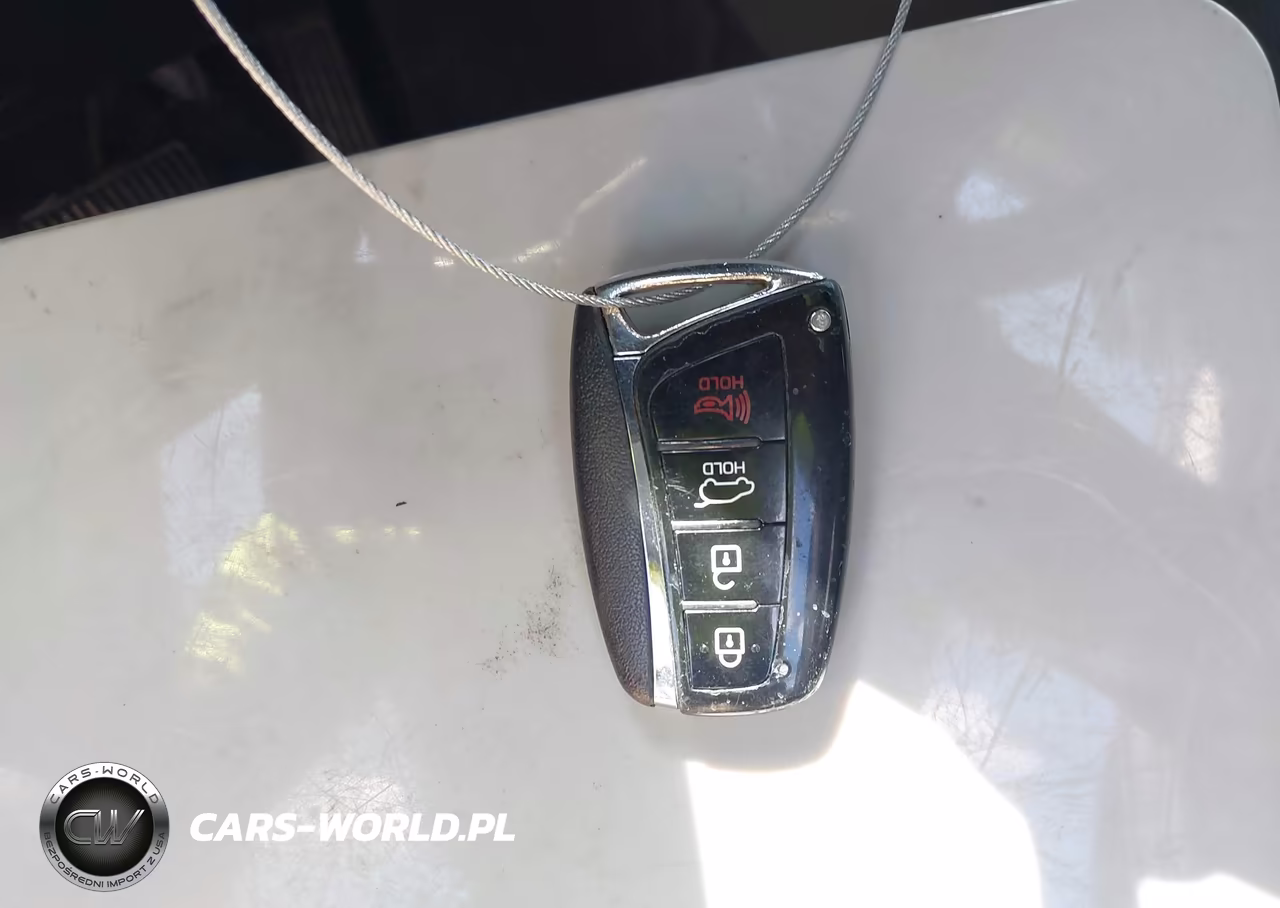 2017 Hyundai Santa Fe Limited Ultimate VIN:KM8SRDHF8HU234191 - 11