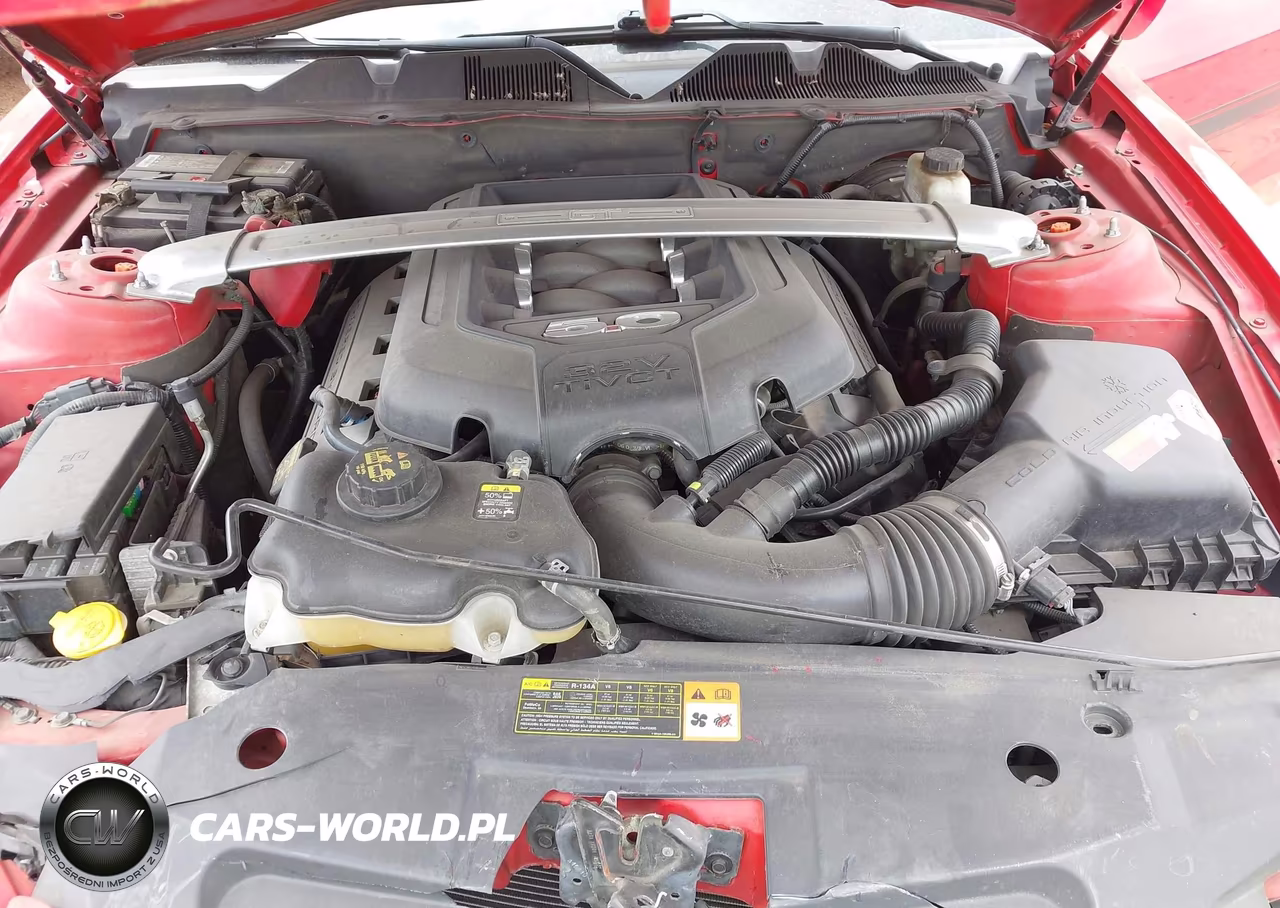 2011 Ford Mustang Gt Premium VIN:1ZVBP8CF7B5144957 - 10
