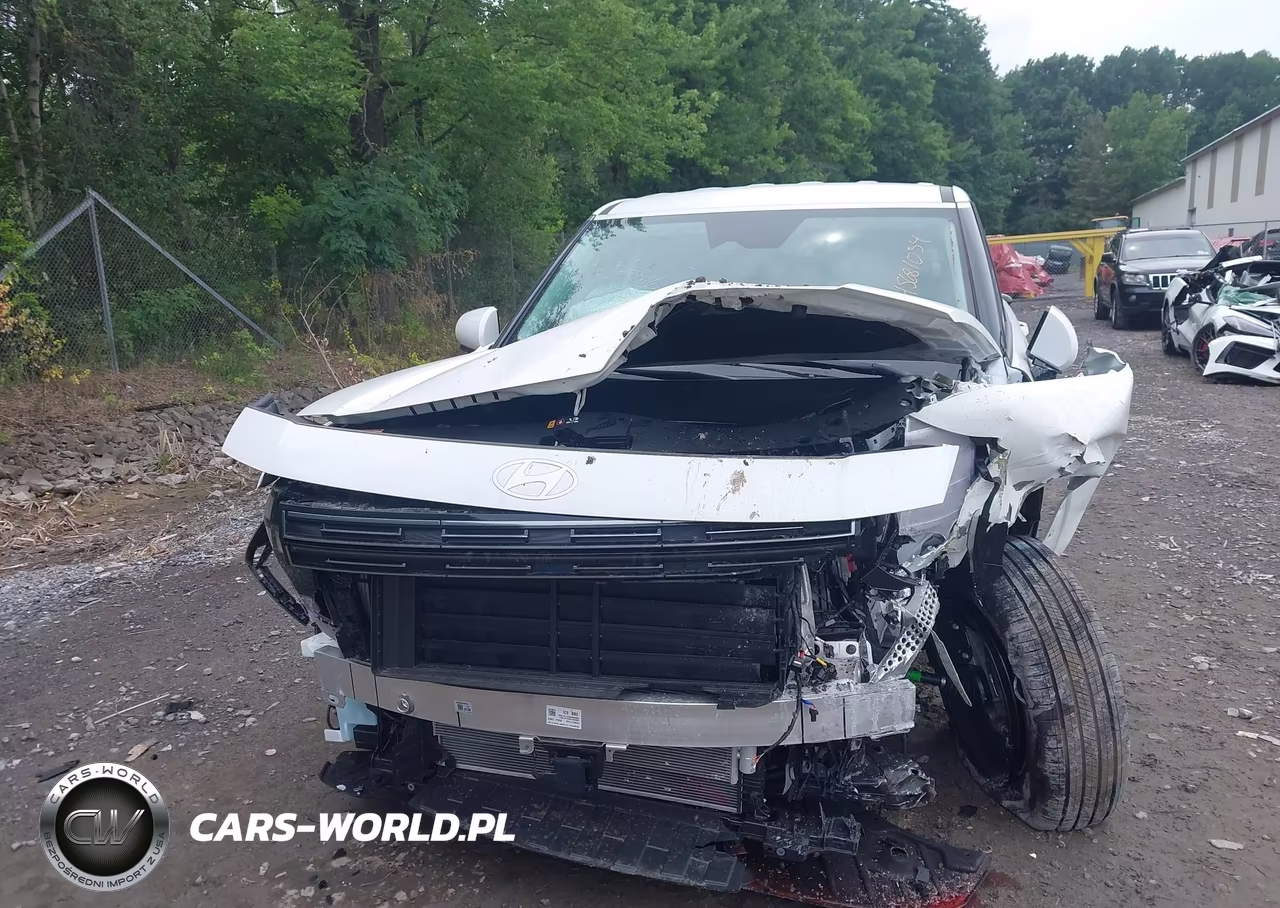 2026 Hyundai Palisade Se VIN:KM8RFES20TU101033 - 12