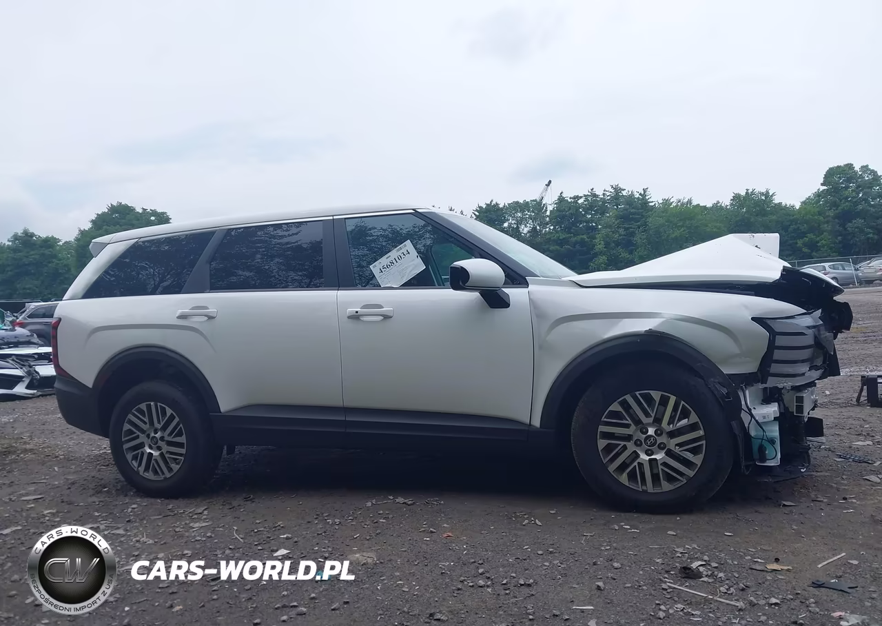 2026 Hyundai Palisade Se VIN:KM8RFES20TU101033 - 13