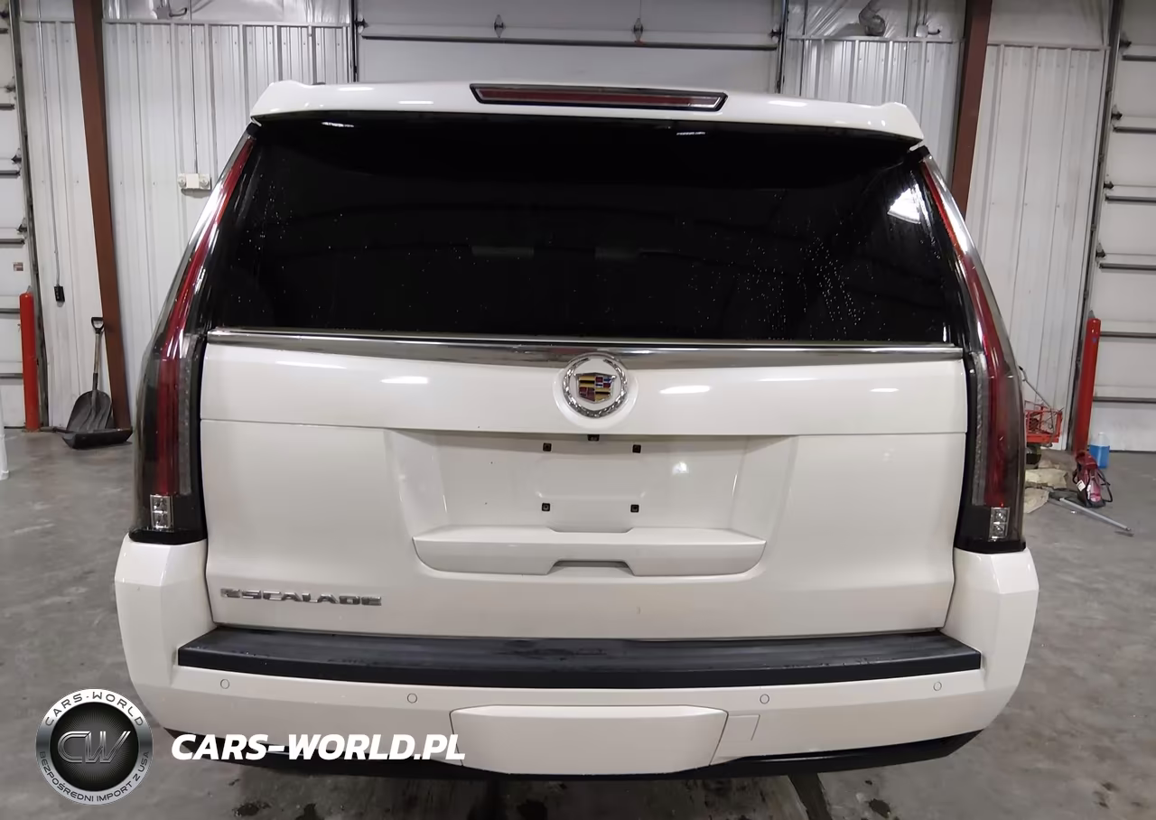 2015 Cadillac Escalade Premium VIN:1GYS4CKJ1FR223599 - 17