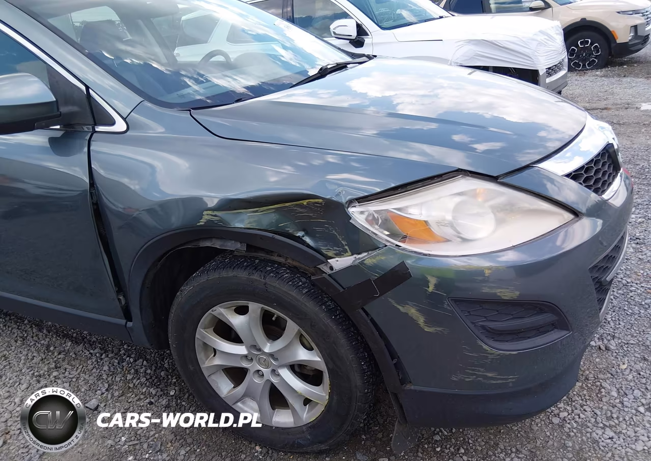 2011 Mazda Cx-9 Touring VIN:JM3TB2CA8B0330163 - 6